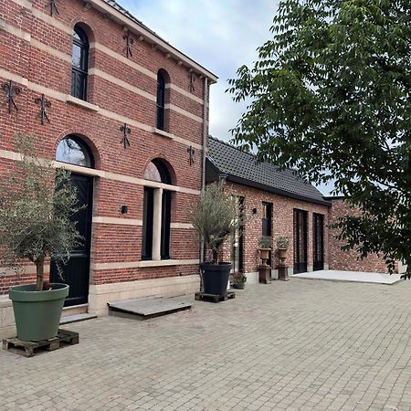 De Wilden Ezel Bed & Breakfast Mol Luaran gambar