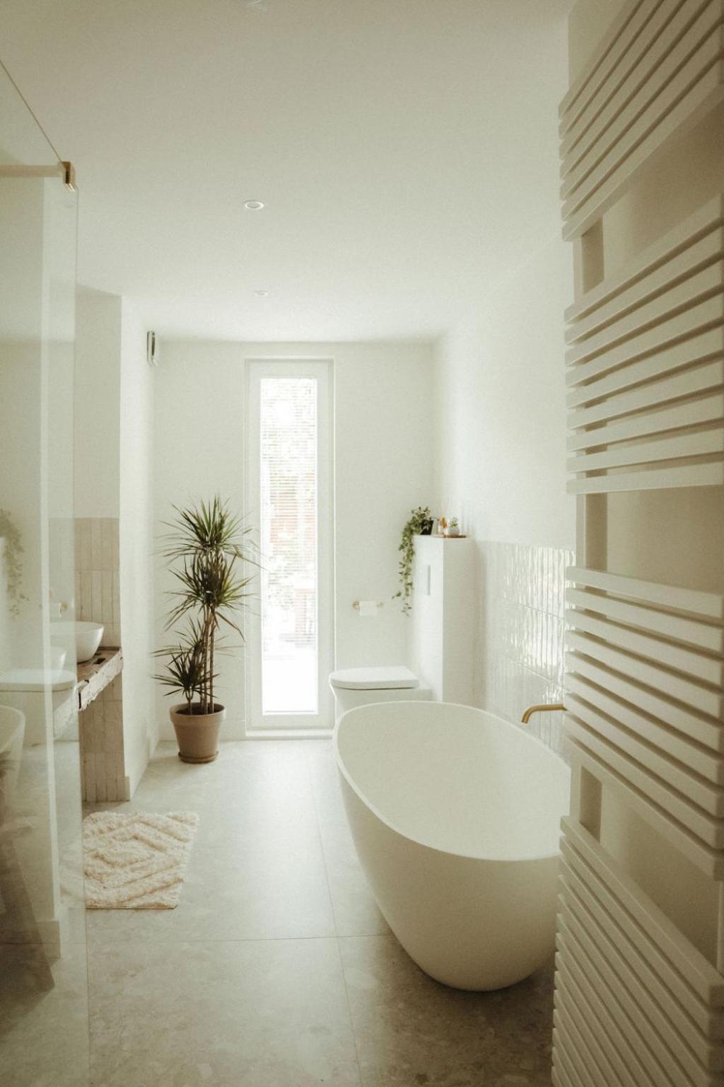 De Wilden Ezel Bed & Breakfast Mol Luaran gambar