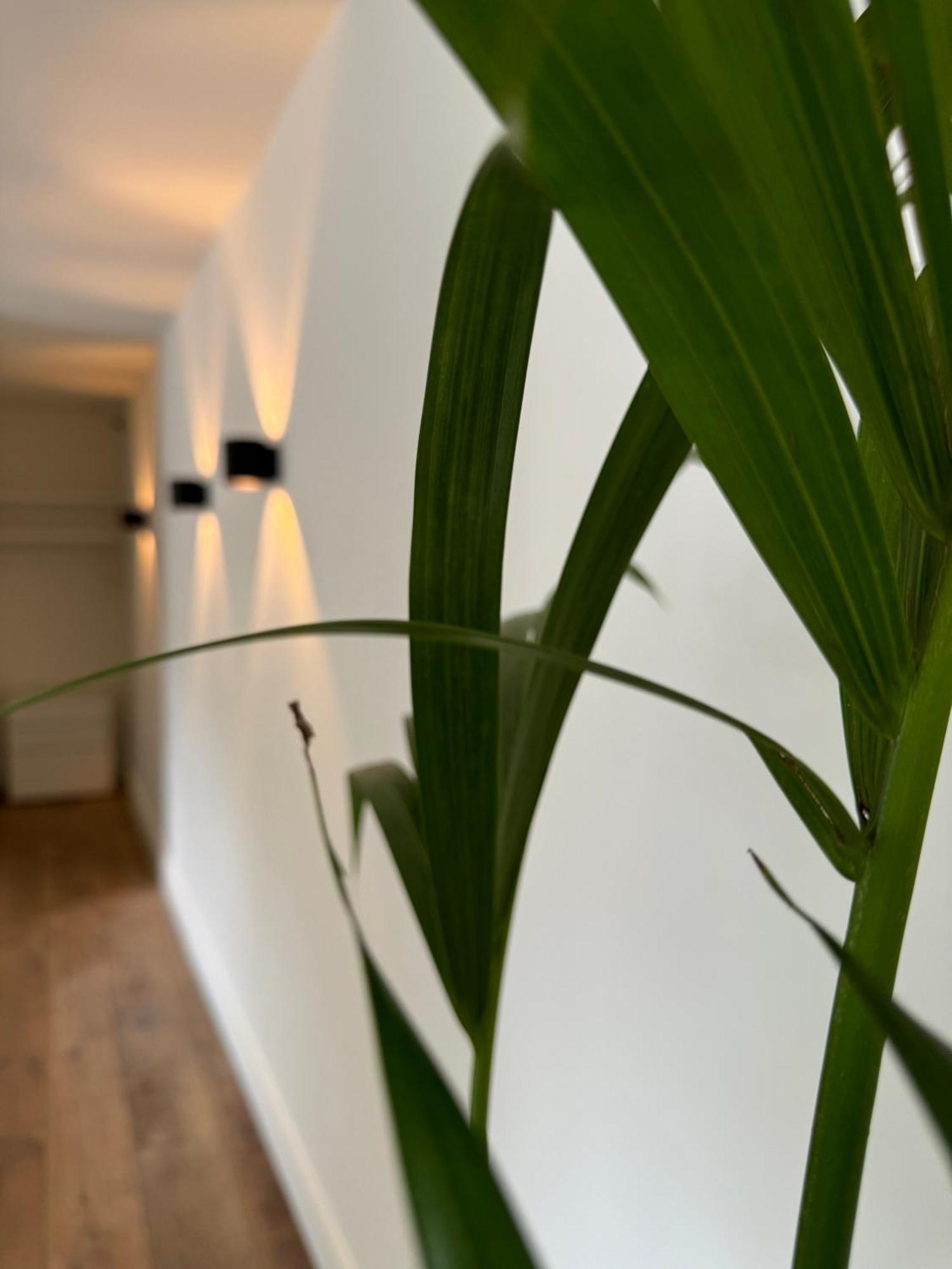 De Wilden Ezel Bed & Breakfast Mol Luaran gambar