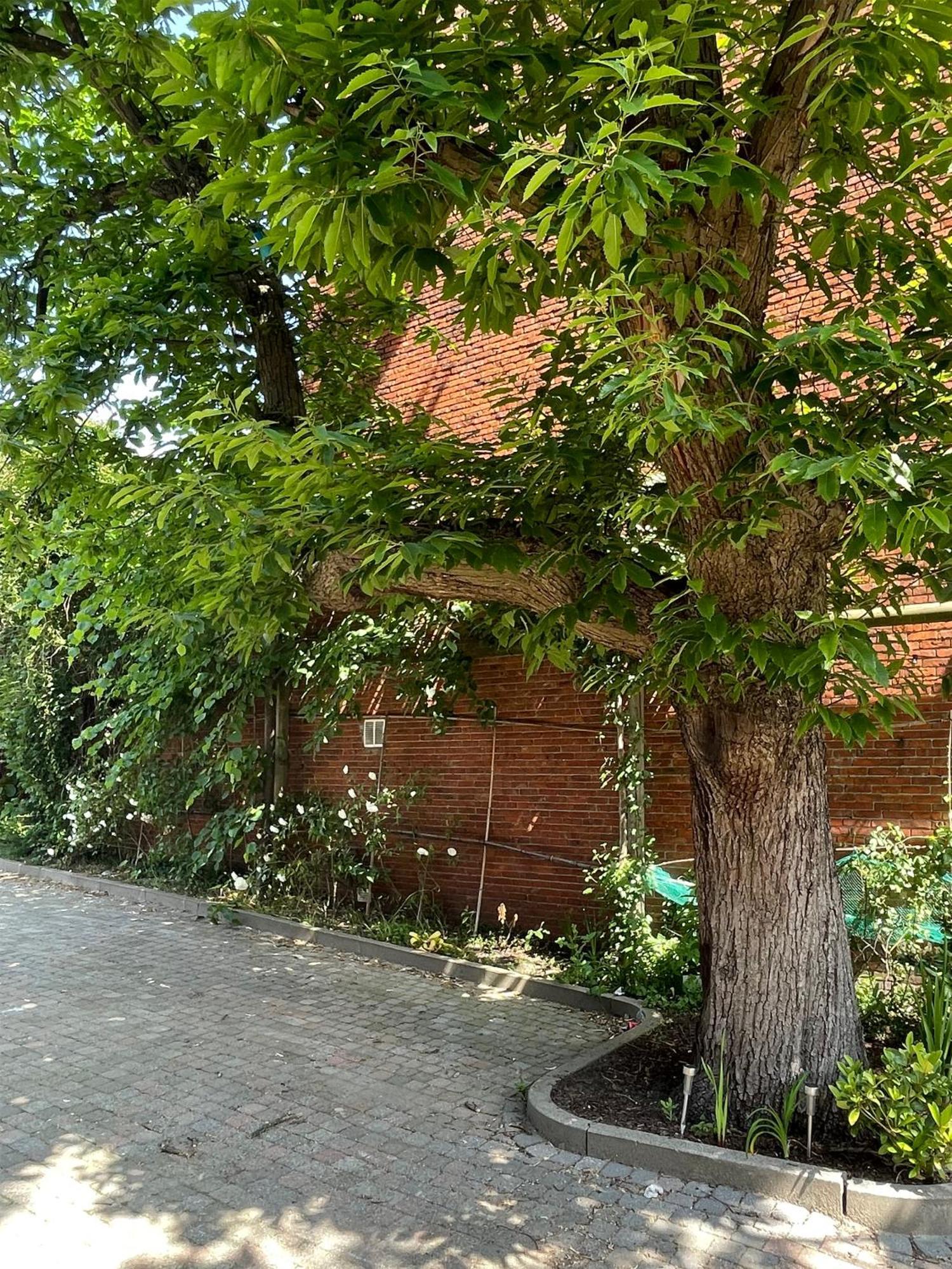 De Wilden Ezel Bed & Breakfast Mol Luaran gambar